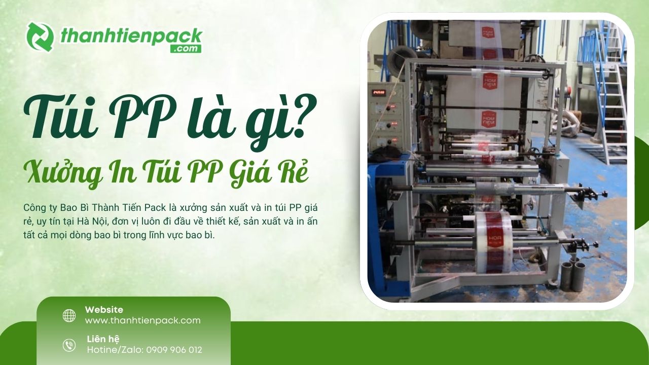 Xưởng in t&uacute;i PP b&oacute;ng kiếng