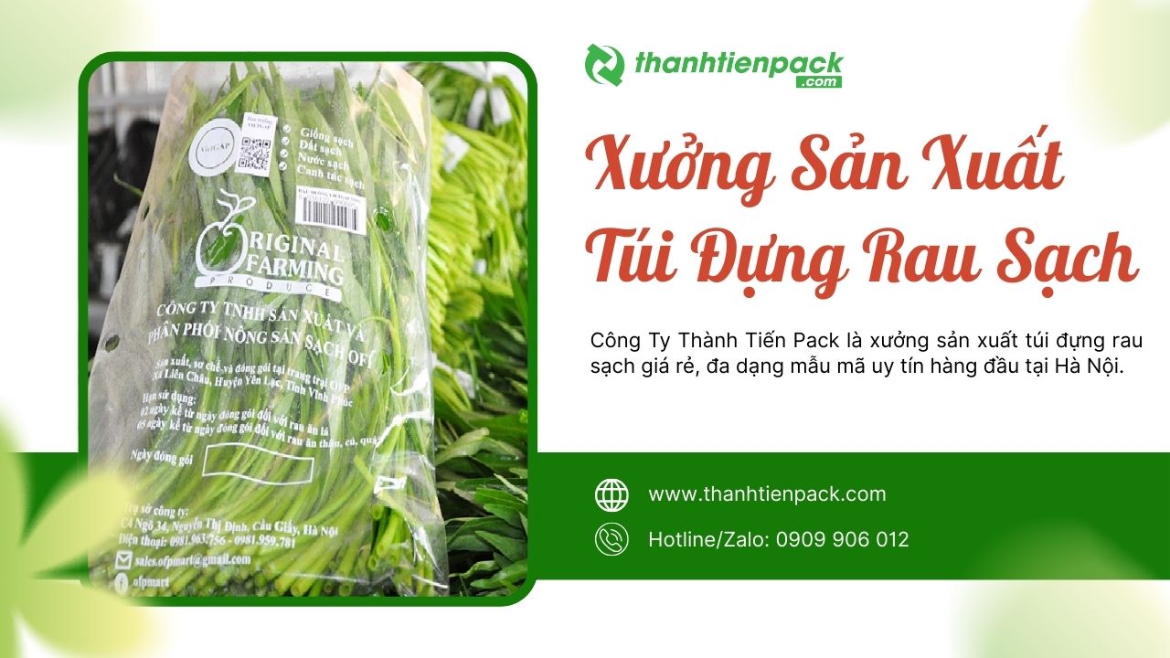 Xưởng t&uacute;i đựng rau sạch