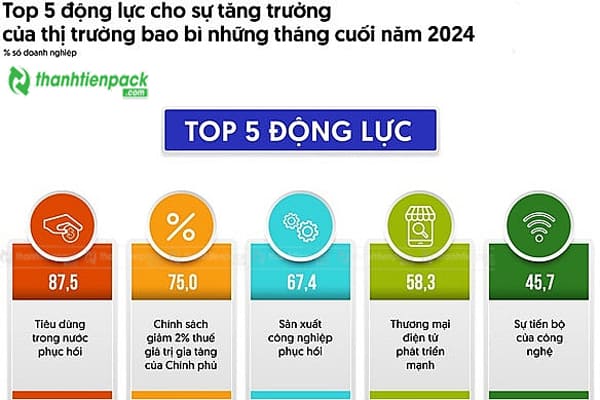 Số liệu bao cáo thị trường bao bì 2024