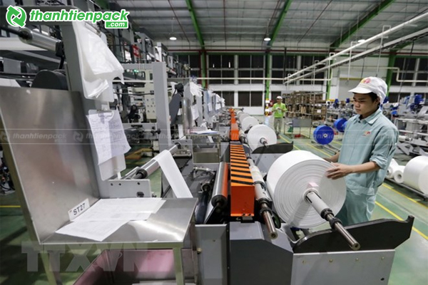 Địa chỉ sản xuất túi roll cuộn siêu thị giá rẻ 