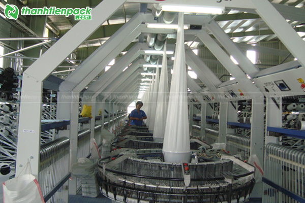Sản xuất túi hột xoài