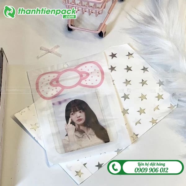 In túi zip đựng album